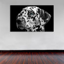 Cuadro Decorativo Dálmata
