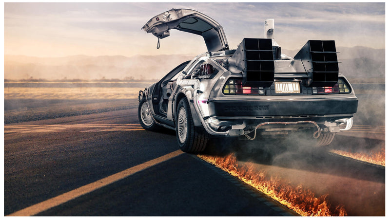 Cuadro Decorativo Película Volver al futuro, DeLorean