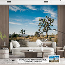 Cuadro Decorativo Paisaje, Cáctus