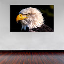 Cuadro Decorativo  Eye