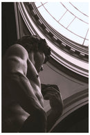 Cuadro Decorativo de Arte, El David perfilado