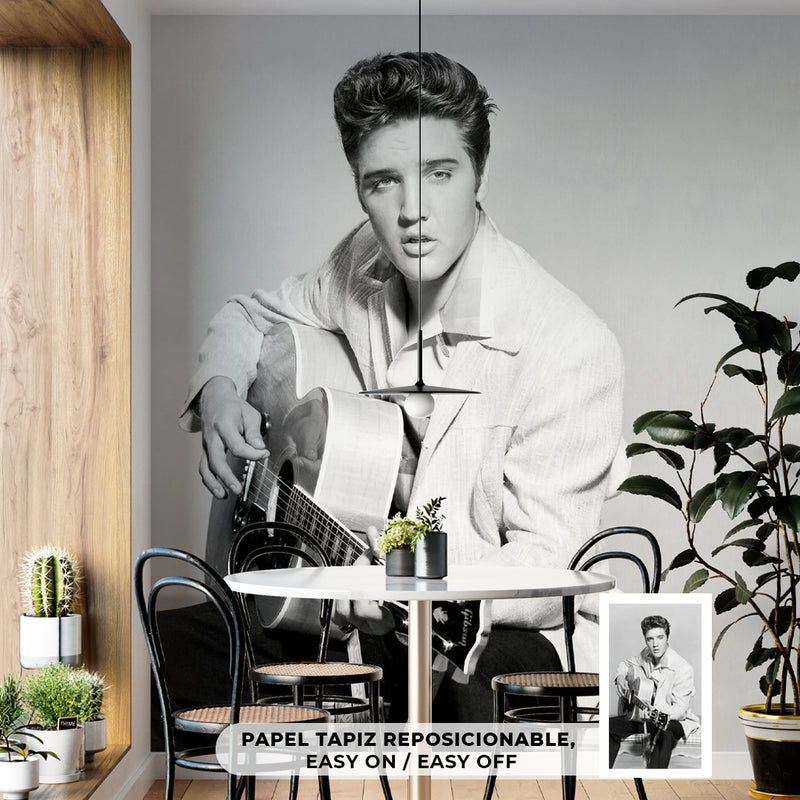 Cuadro Decorativo Música, Elvis Presley con guitarra