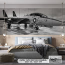 Decorativo, Fighter jet exhibition