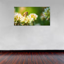 Cuadro Decorativo Floral Abeja posando sobre las flores