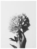 Cuadro Decorativo de Arte, flor en mano