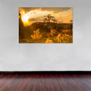 Cuadro Decorativo Floral en el atardecer