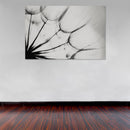 Cuadro Decorativo Blanco y negro, flor diente de león