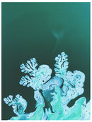 Cuadro Decorativo Abstracto, florituras aqua