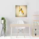 Cuadro Decorativo Música, Freddie Mercury abstracto