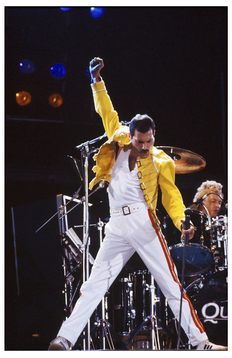 Cuadro Decorativo Música, Freddie Mercury
