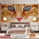 Decorativo, Gato mirando