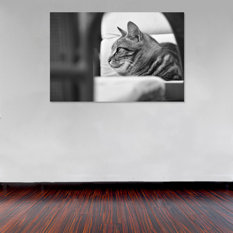 Cuadro Decorativo gato blanco y negro