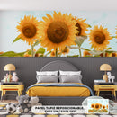 Decorativo, campo de girasoles