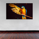 Cuadros Decorativos Guacamaya