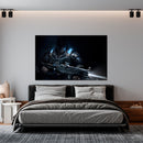 Cuadro Decorativo Videojuego, Black Warrior