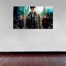 Cuadro Decorativo Película Harry Potter y las reliquias de la muerte