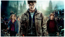 Cuadro Decorativo Película Harry Potter y las reliquias de la muerte