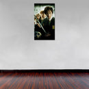 Cuadro Decorativo Película, Harry Potter