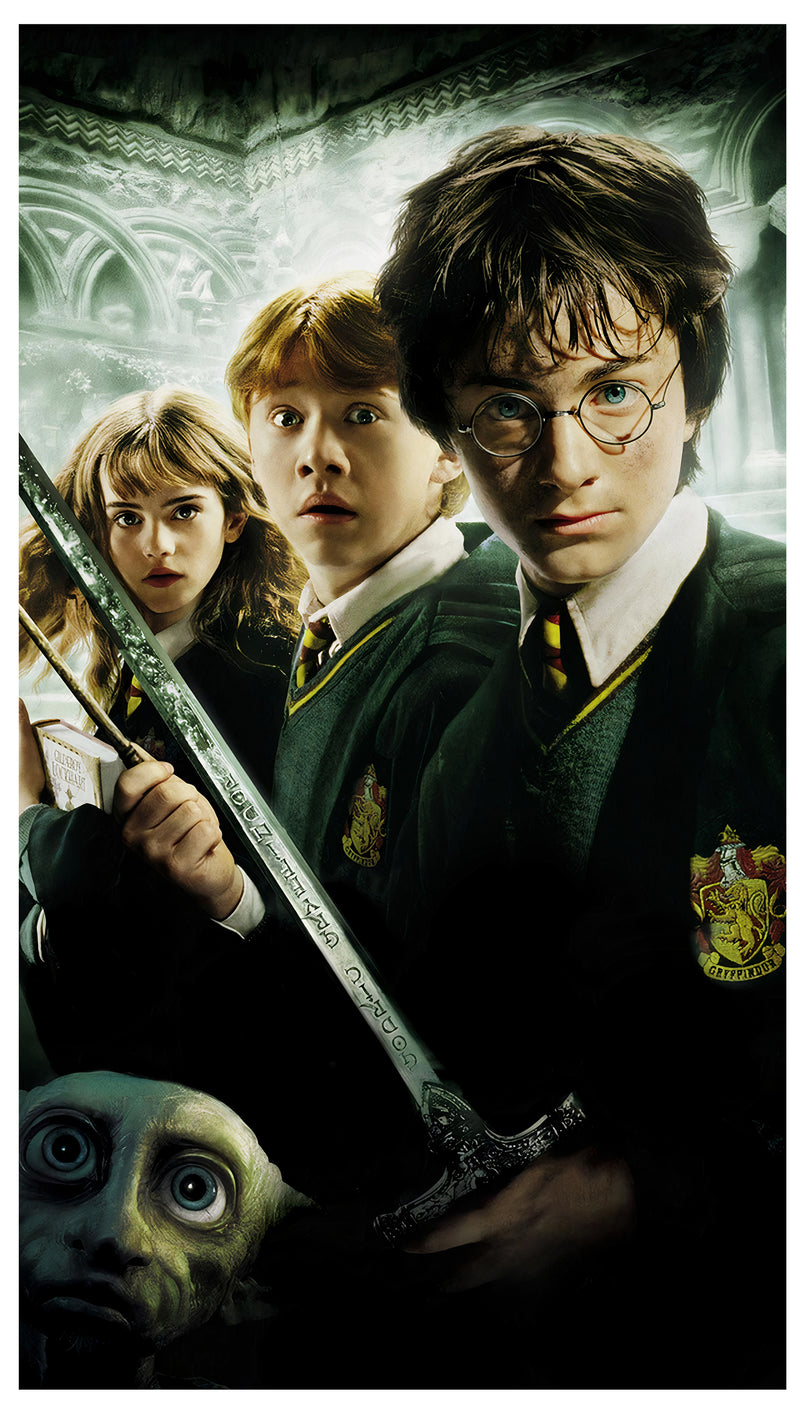 Cuadro Decorativo Película, Harry Potter