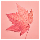 Cuadro Decorativo Pop Art, Hoja de maple