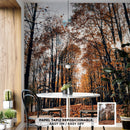 Decorativo Otoño, hojas en el bosque