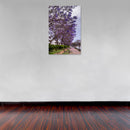 Cuadro Decorativo Primavera, Sendero de jacarandas