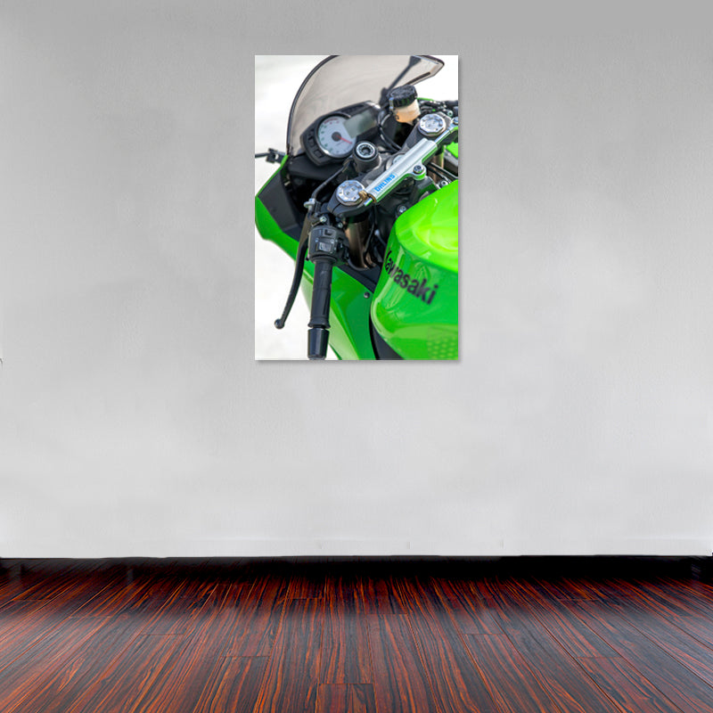 Cuadro Decorativo Moto Kawasaki verde