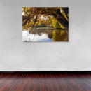 Cuadro Decorativo Otoño, lago con hojas