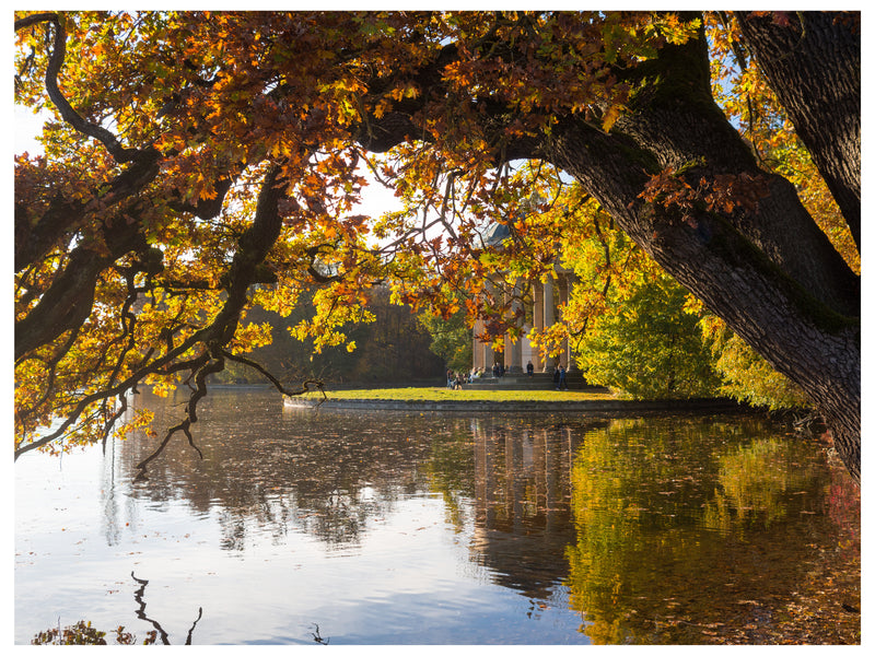 Decorativo Otoño, lago con hojas