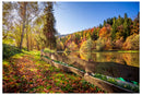 Cuadro Decorativo Otoño, lago paraíso