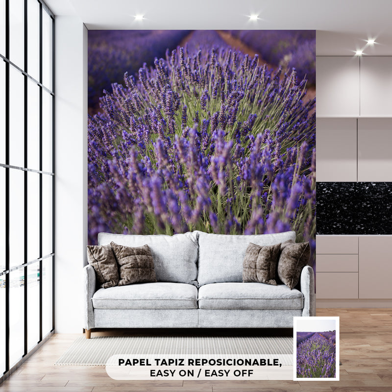 Decorativo, paisaje lavanda