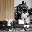 Cuadro Decorativo Locomotora 1784-0