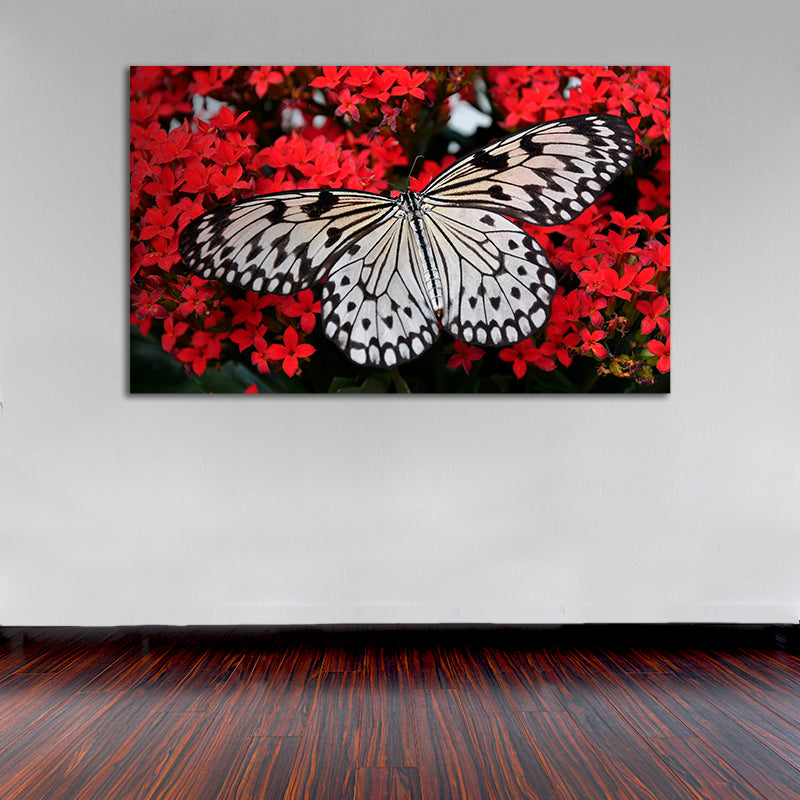 Cuadro Decorativo Mariposa Colorida