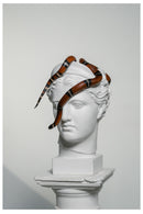 Cuadro Decorativo de Arte, Medusa