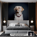 Decorativo, labrador