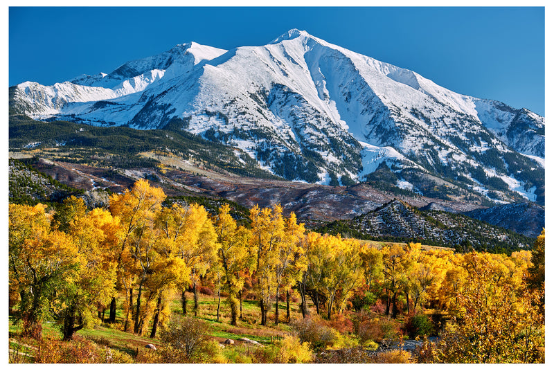 Cuadro Decorativo Otoño, montaña y árboles amarillos