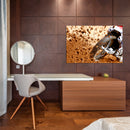 Cuadro Decorativo Moto arrancando y salpicando polvo