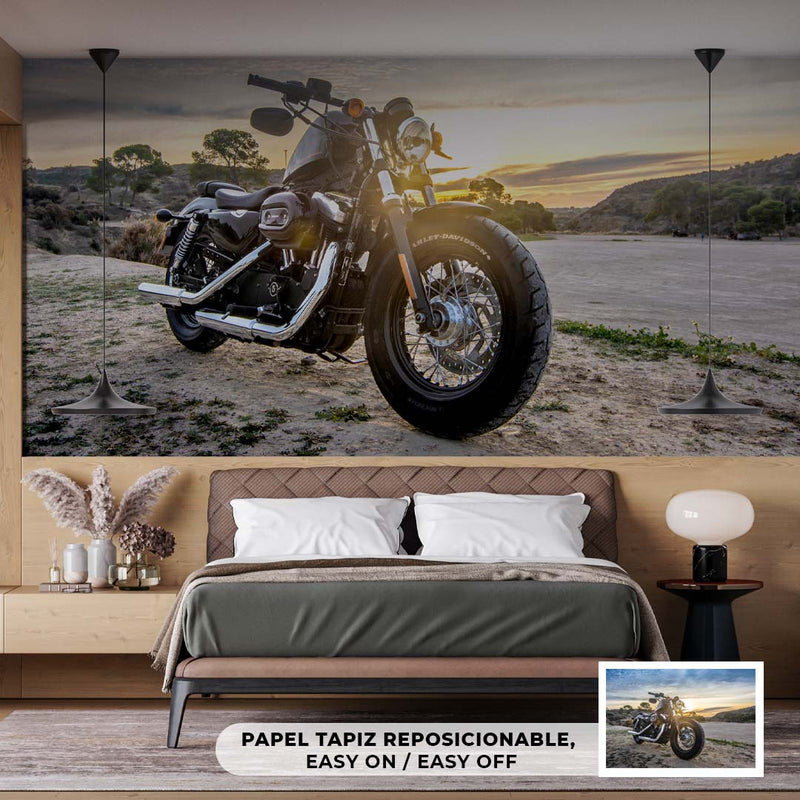 Cuadro Decorativo Moto Harley Davidson atardecer