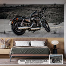 Cuadro Decorativo Moto Forty fight negra