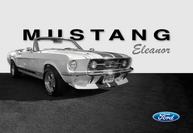 Cuadro Decorativo Contraste Mustang clásico Eleanor