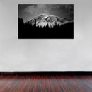 Cuadro Decorativo nevado blanco y negro,