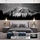 Cuadro Decorativo nevado blanco y negro,