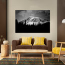 Cuadro Decorativo nevado blanco y negro,