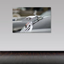 Cuadro Decorativo Ornamento Jaguar clásico