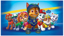 Cuadro Decorativo Infantil Paw Patrol