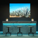 Cuadro Decorativo México Paisaje agavero