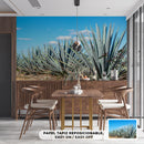 Cuadro Decorativo México Paisaje agavero