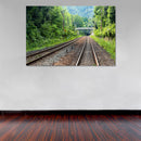 Cuadro Decorativo Vías del tren, en la vegetación