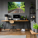 Cuadro Decorativo Vías del tren, en la vegetación