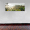 Cuadro Decorativo México Paisaje agavero llanura